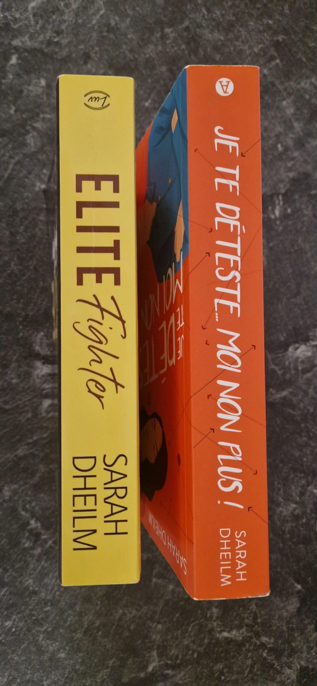 Set of 2 volumes by Sarah Dheilm – photo 6